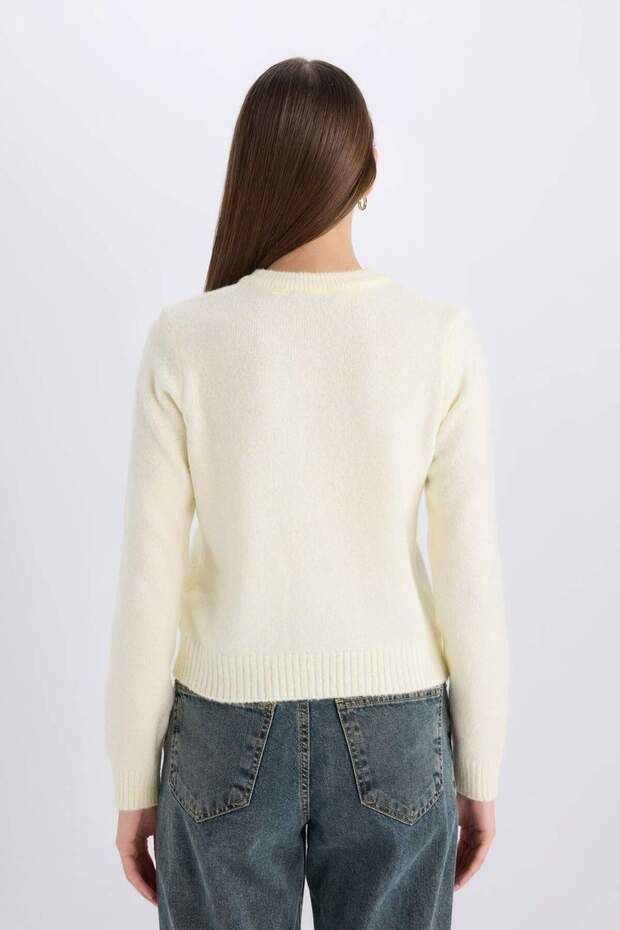 Regular Fit Bisiklet Yaka Basic Düz Düğmeli Soft Touch Yumuşak Triko Hırka E3654AX25SP - 6