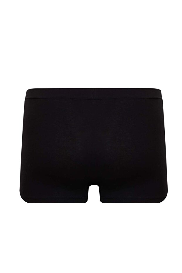 Regular Fit Boxer E3202AX24AU - 2