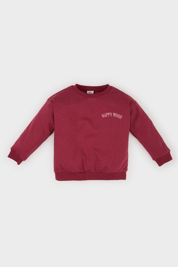 Baby Girl Crew Neck Printed Sweatshirt D0737A524Au