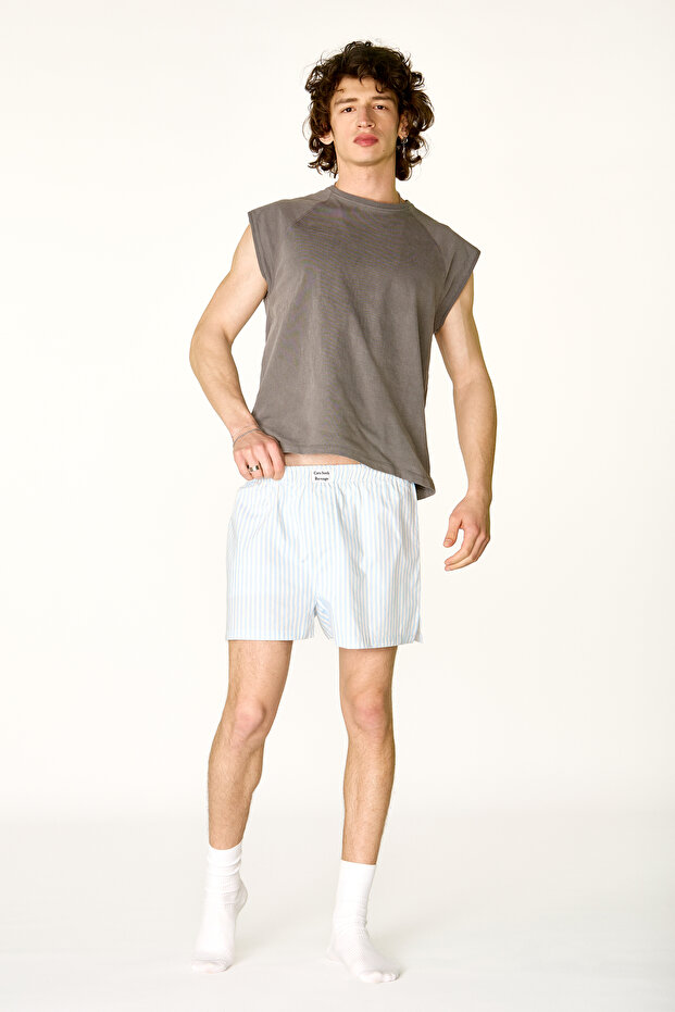 Cats Light Blue Striped Boxer Shorts