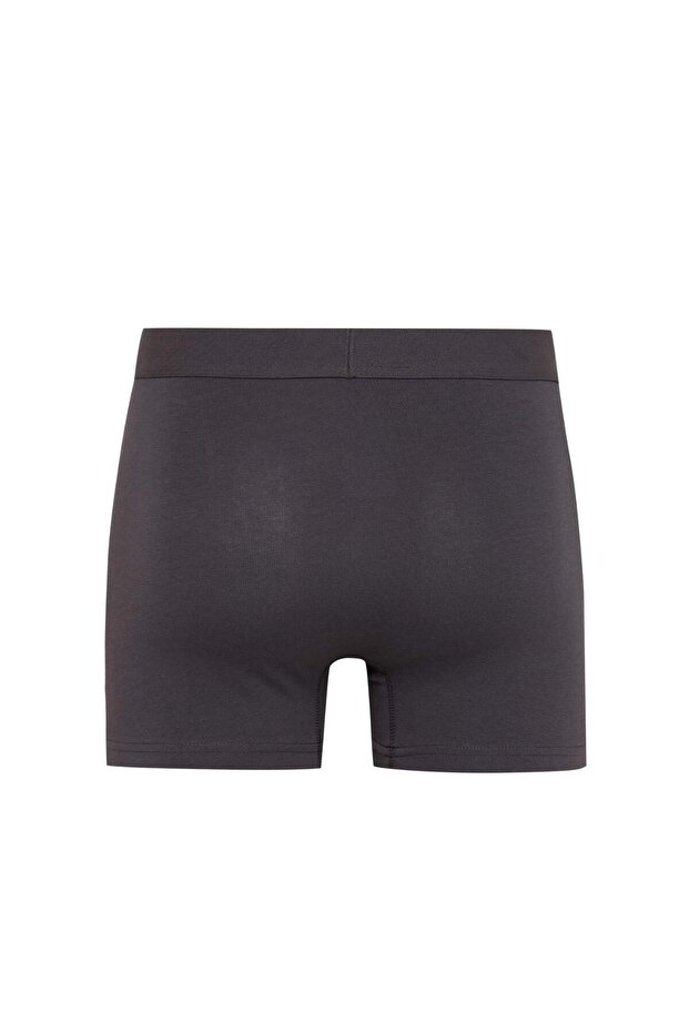 Regular Fit 3'lü Boxer C9575AX24AU - 3