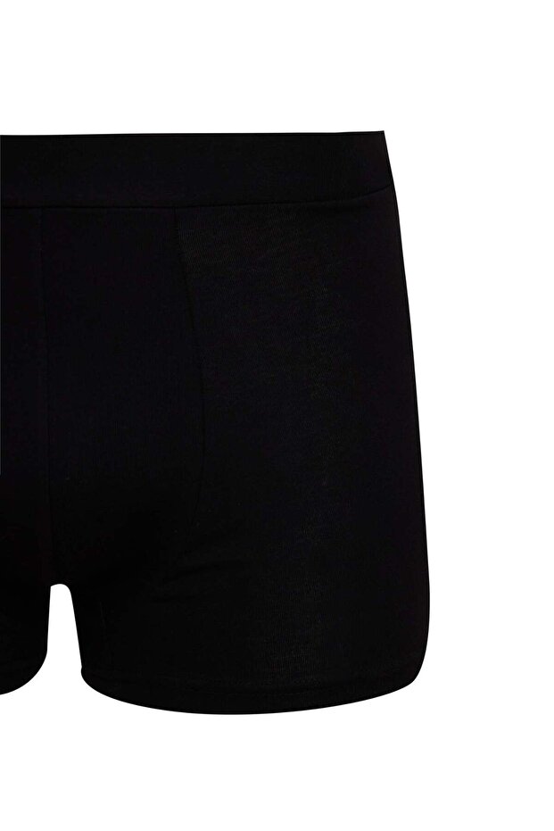 Regular Fit Boxer E3202AX24AU - 3