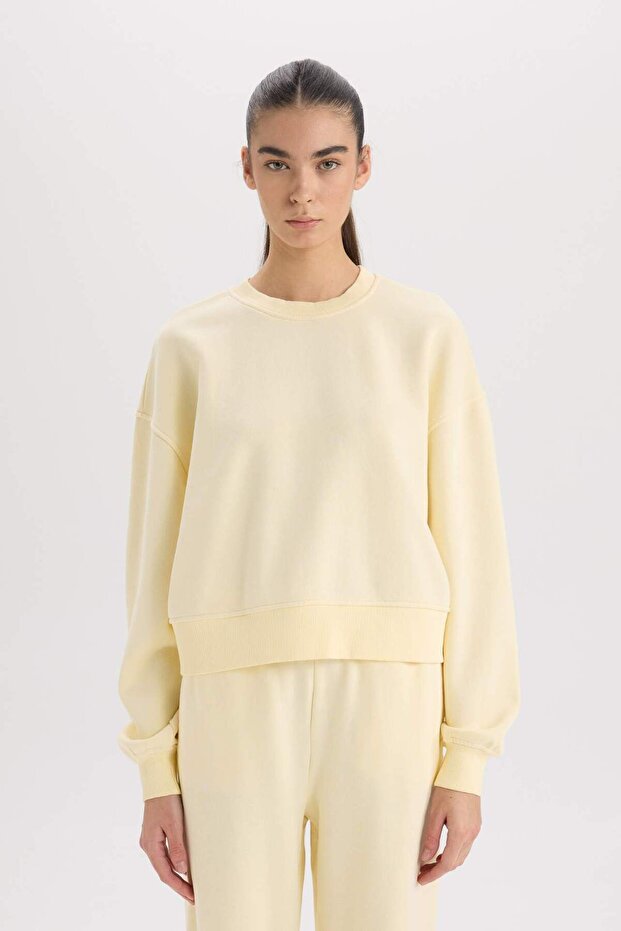 Boxy Fit Bisiklet Yaka Basic Düz Kalın Sweatshirt E4732AX24CW - 3