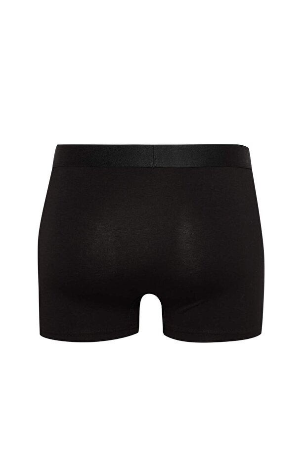 Regular Fit Boxer E2852AX24AU - 2