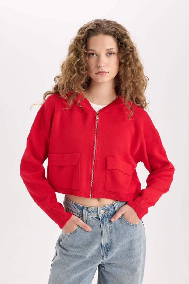 Regular Fit Kapüşonlu Basic Düz Fermuarlı Triko Hırka E2270AXNS - 3