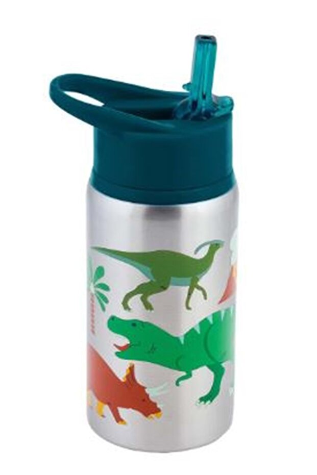 Dinosaur Drinking Bowl with Stainless Steel Straw