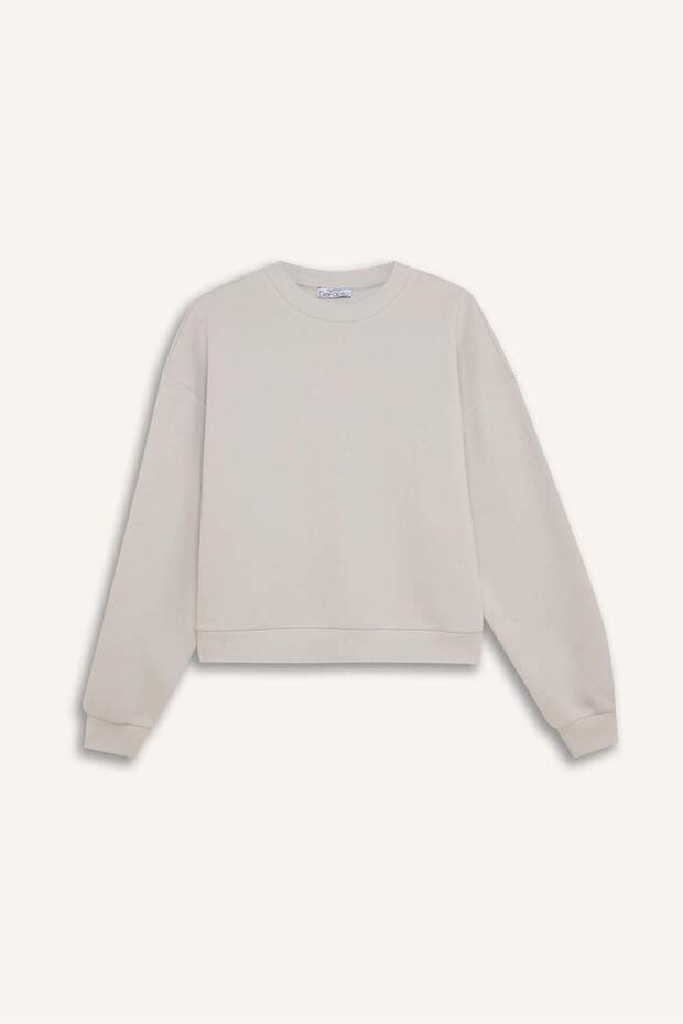 Regular Fit Bisiklet Yaka Kalın Basic Düz Sweatshirt D6645AX24WN - 7