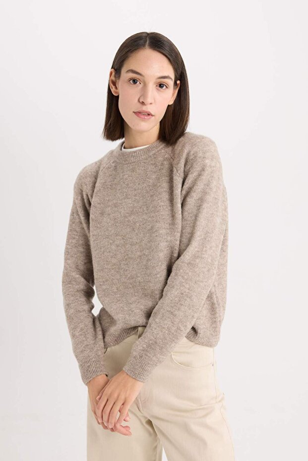 Regular Fit Bisiklet Yaka Triko Kazak D0035AX24WN - 3