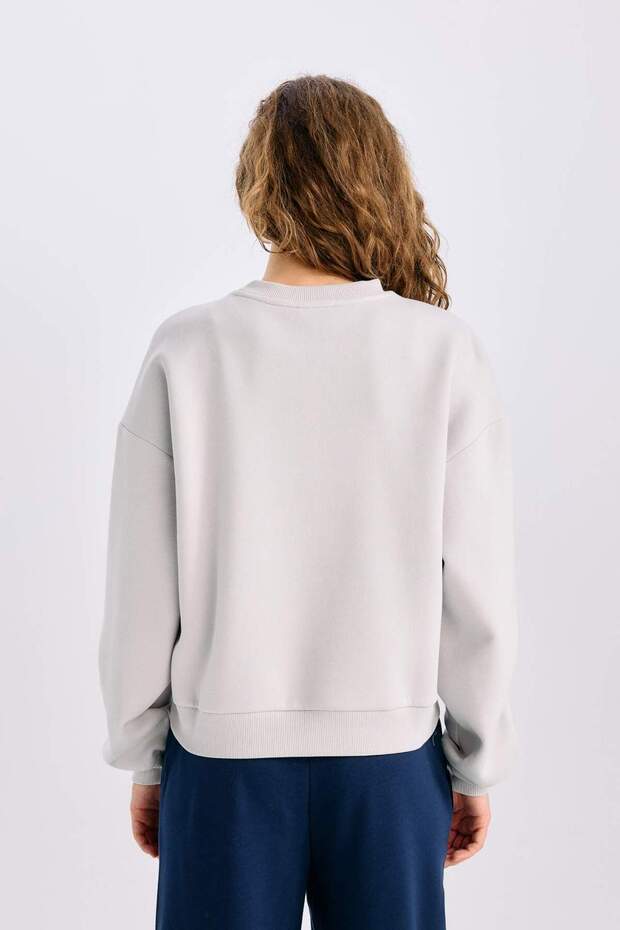 Regular Fit Bisiklet Yaka Kalın Basic Düz Sweatshirt D6645AX24WN - 6