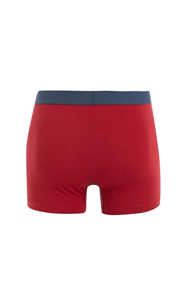 Regular Fit 3'lü Boxer C9560AX24WN - 3