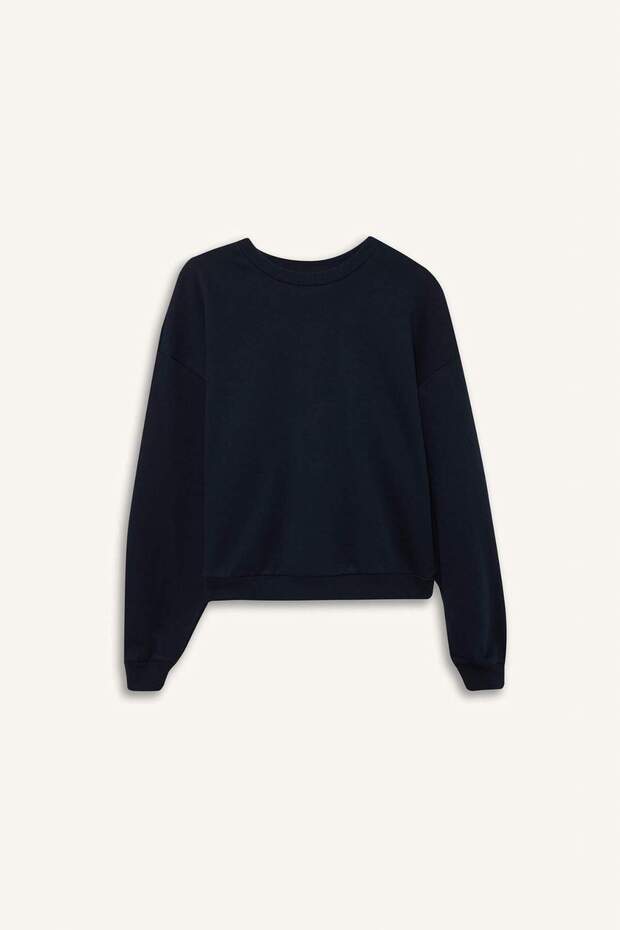 Regular Fit Bisiklet Yaka Kalın Basic Düz Sweatshirt D6645AX24WN - 6