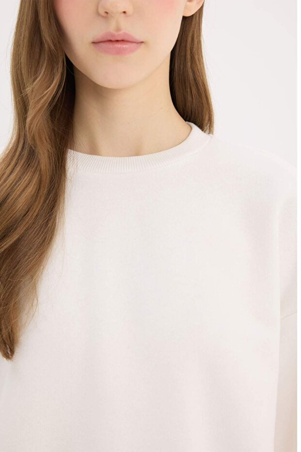 Regular Fit Bisiklet Yaka Kalın Basic Düz Sweatshirt D6645AX24WN - 5