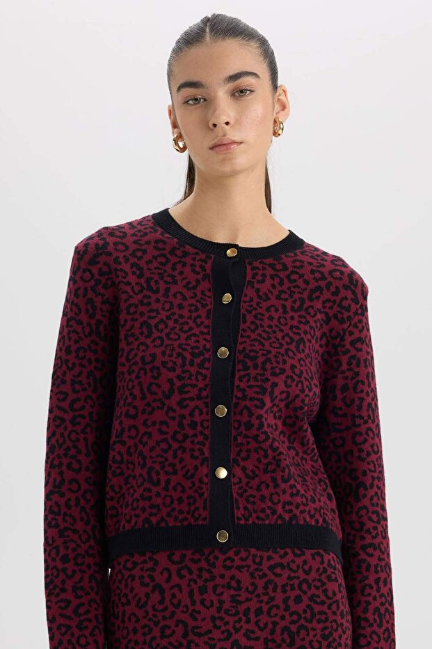 Regular Fit Bisiklet Yaka Leopar Desenli Düğmeli Triko Hırka D8510AX24WN - 1