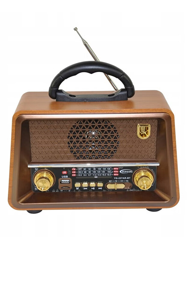 Rechargeable HI-FI Radio with Remote Control, Large Capacity Battery, Portable, Retro Style FM Radio - 1