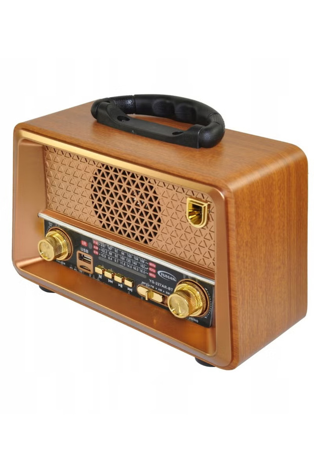 Rechargeable HI-FI Radio with Remote Control, Large Capacity Battery, Portable, Retro Style FM Radio - 7