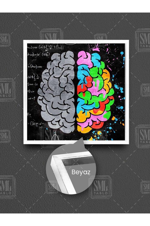 Brain Right and Left Sides Emotion and Logic Mathematics and Imagination Framed Square Canvas Painting - 1