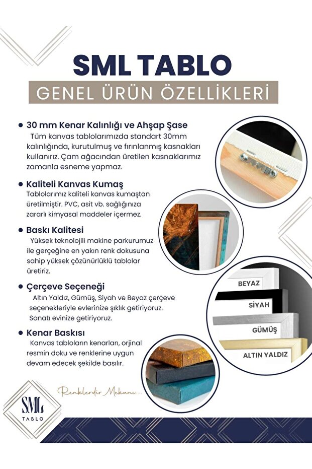 Çiçek Açmış Badem Ağacı Van Gogh Çerçeveli Kare Kanvas Tablo - 2