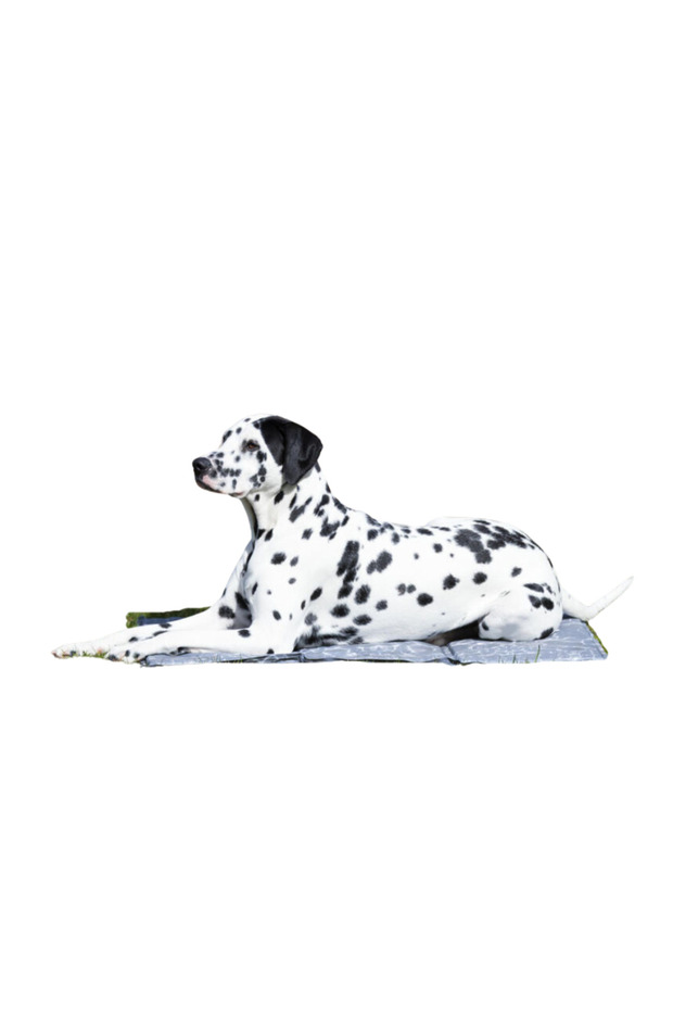Soft Cooling Mat