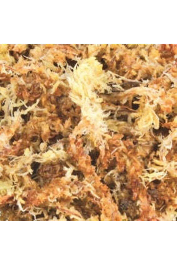 Sphagnum Moss 4.5L