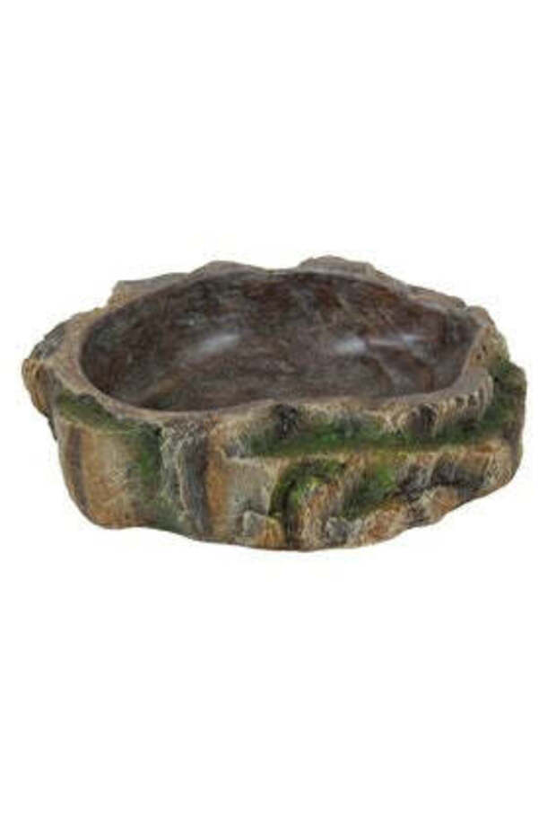 Forest Water and Food Bowl