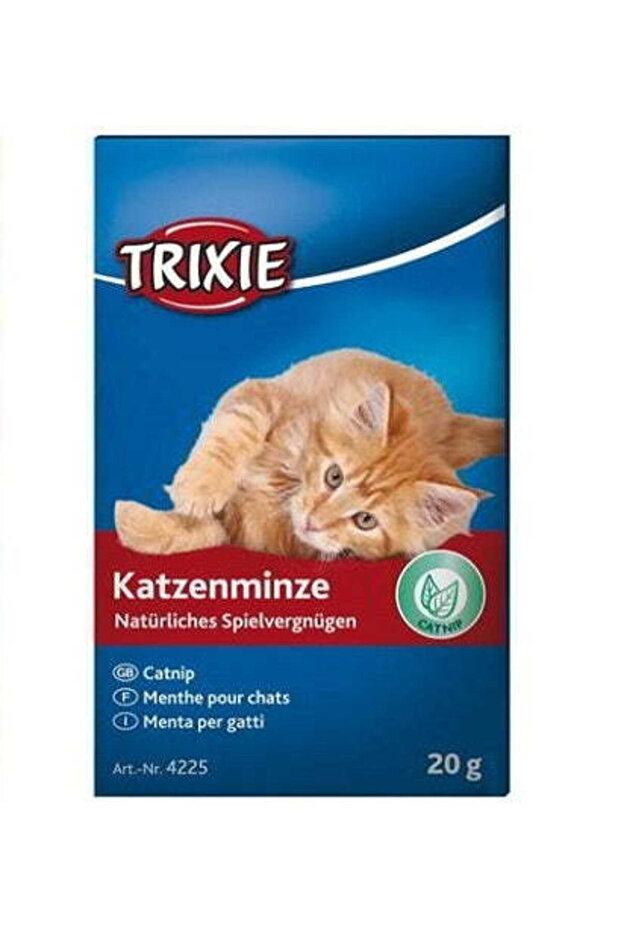 Catnip for Cats 20g