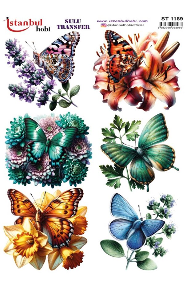 Water Transfer Paper 25X35Cm St-1189