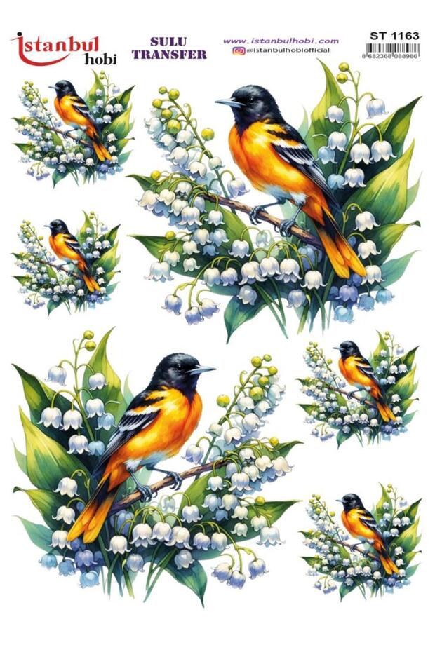 Water Transfer Paper 25X35Cm St-1163