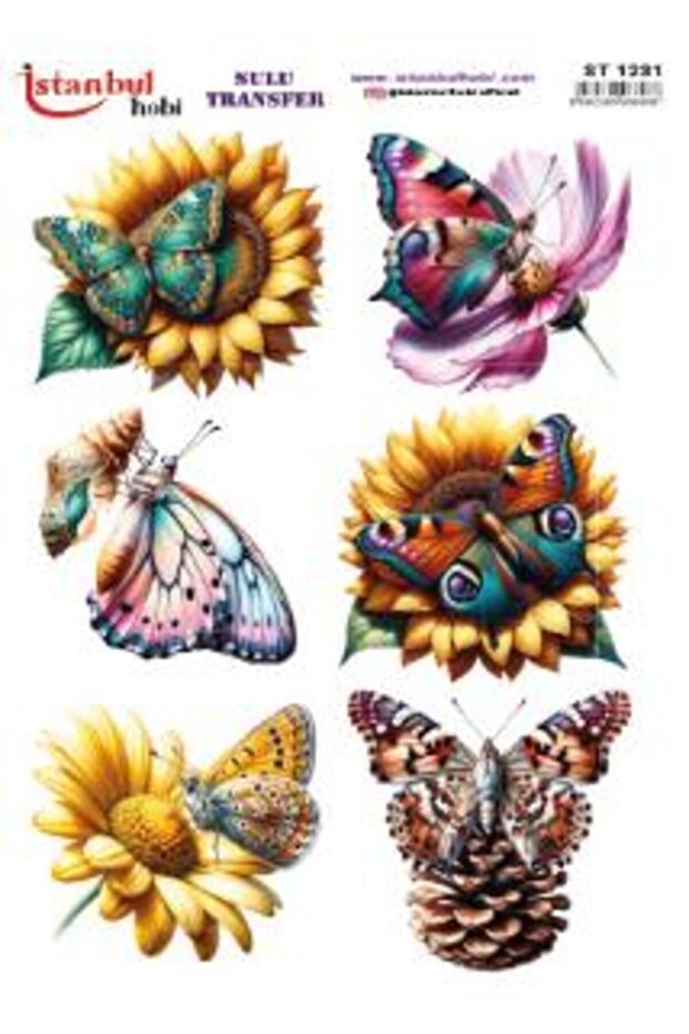 Water Transfer Paper 25X35Cm St-1231