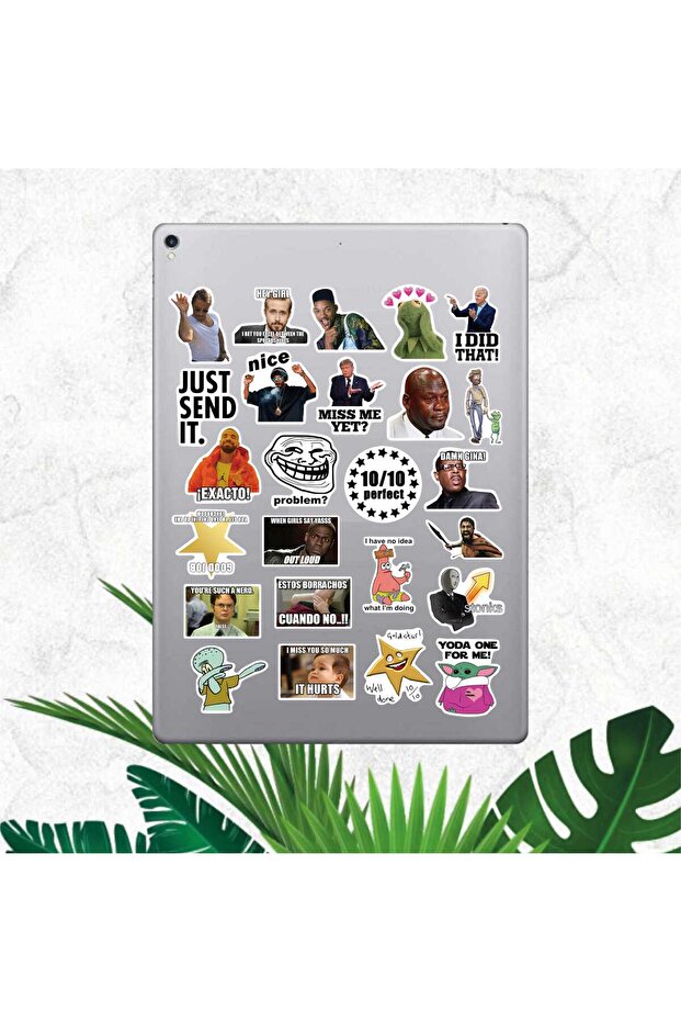 Funny Mem Series 1 Sticker Set | Laptop Agenda Notebook Tablet Phone Notebook Sticker Bullet Journal