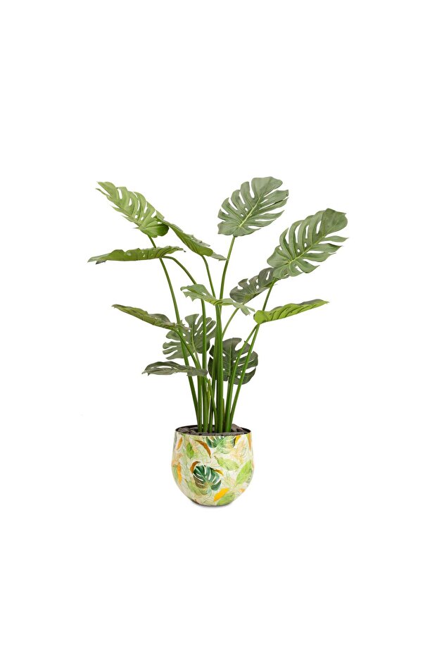 Lush Botanic Saksı M - 2