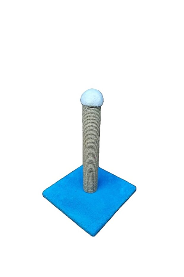 Cat Scratching Board