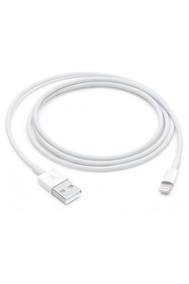 Apple Lightning to USB Data and Charging Cable, White - 2