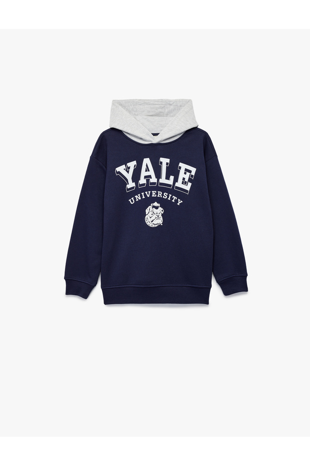 Licensed Hooded Long Sleeve Embossed Printed Sweatshirt