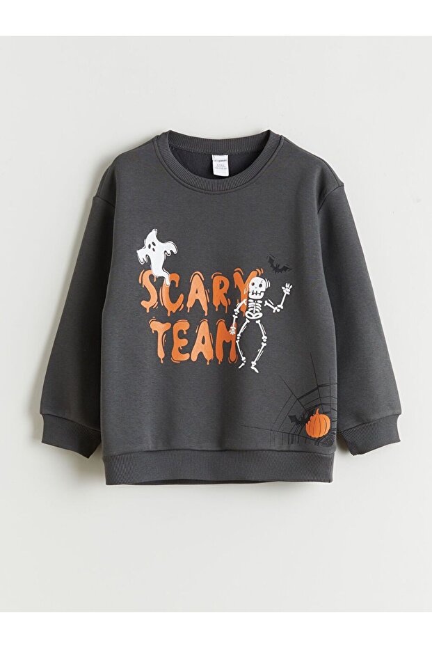 Lcw Kids Crew Neck Boy Sweatshirt