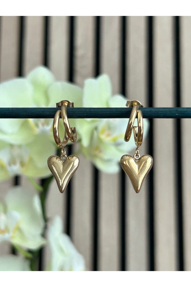 استرخى أقراط القلب الصلب - 2