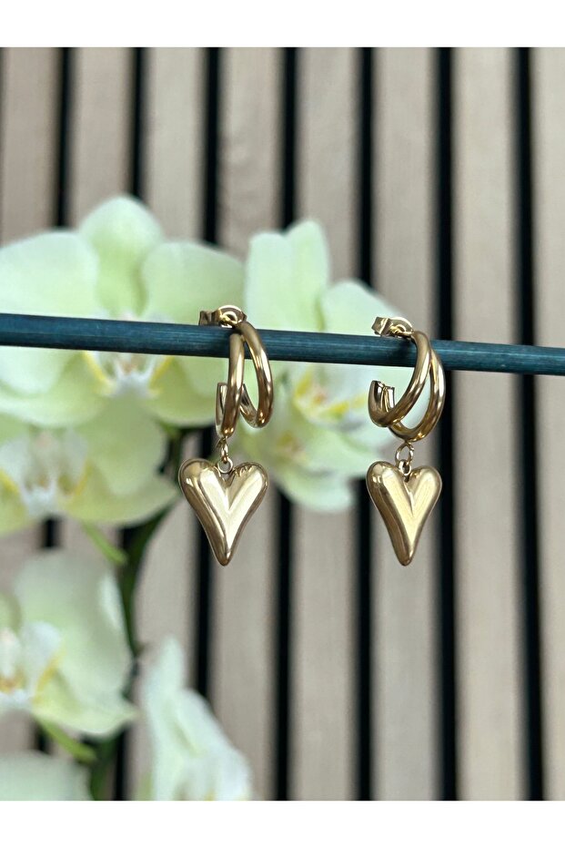 استرخى أقراط القلب الصلب - 3