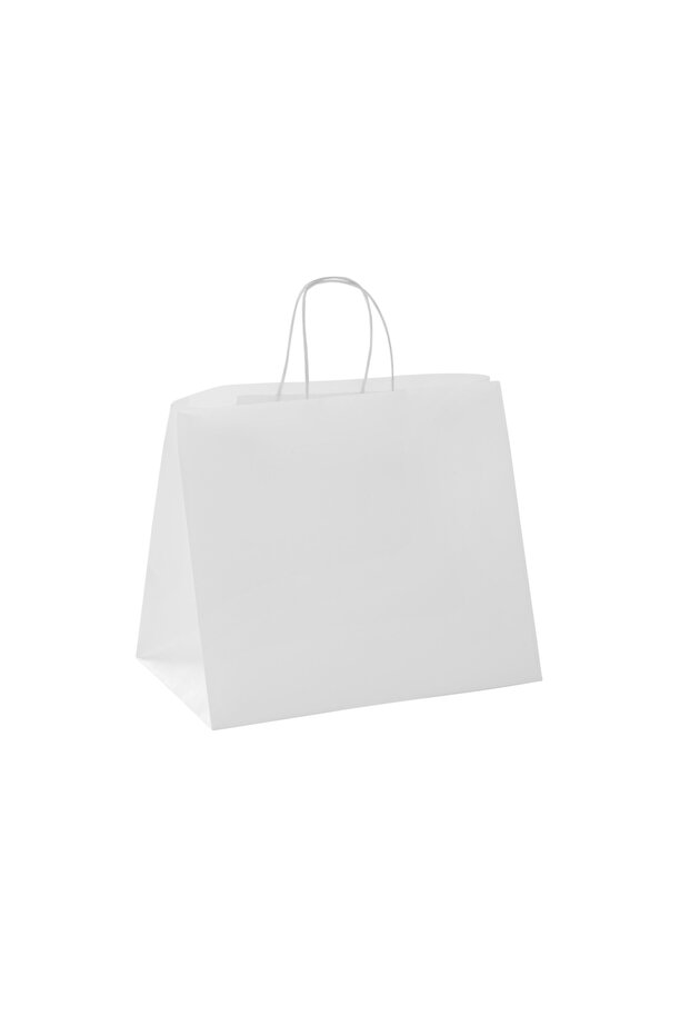 PAPER BAG BROWN WITH HANDLE