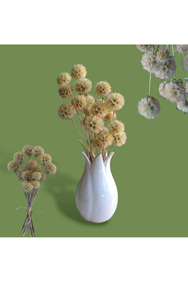 Scabiosa kuru çiçek vazo çiçeği epoksi çiçeği - 2