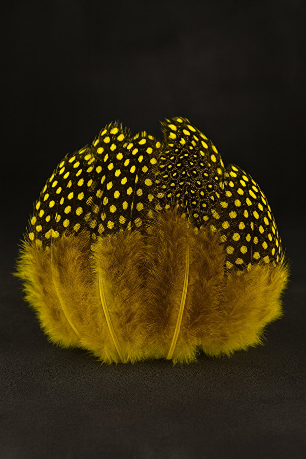 Sarı Siyah Kuş Tüyü 50 Adet - Dekor, Bird Feather, Tavus Kuşu, Şeffaf Balon Tüyü - 2