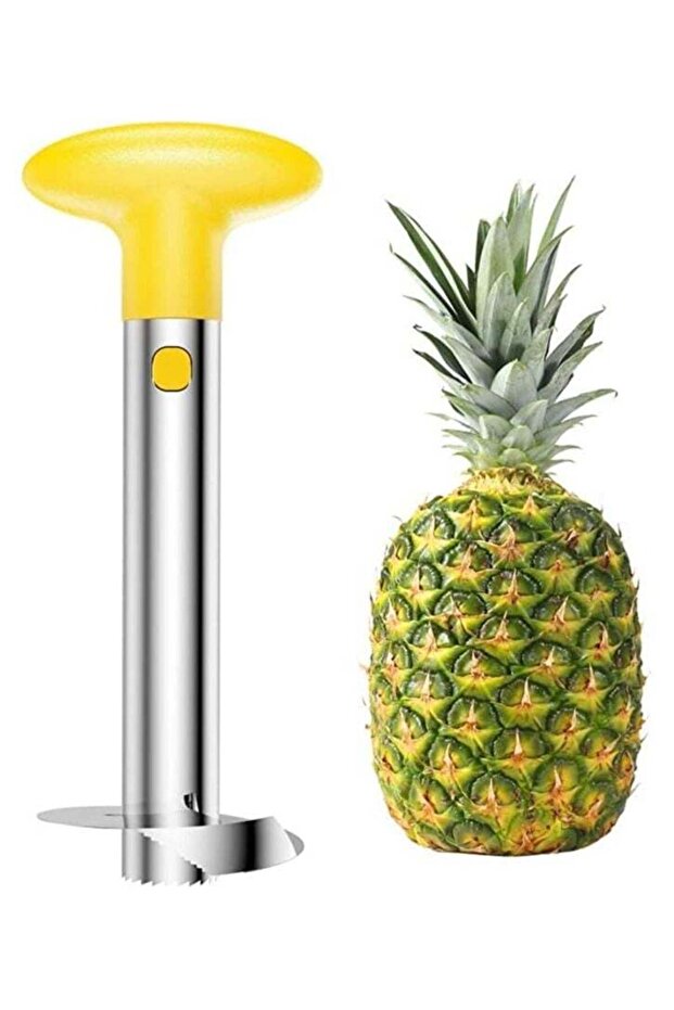 Pineapple Corer And Slicer - 1