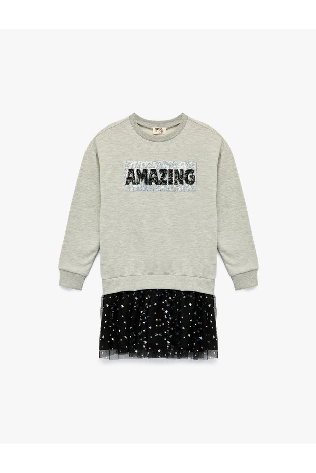 Ruffled Long Sleeve Crew Neck Tulle Detailed Sequined Dress
