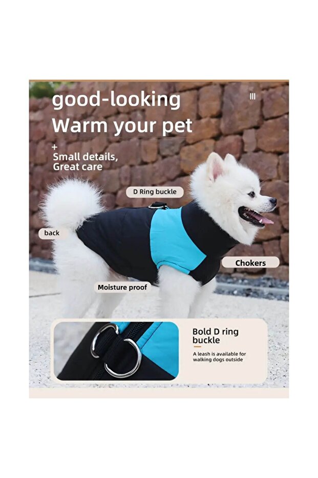 Waterproof Winter Coat with Leash Area for Dog