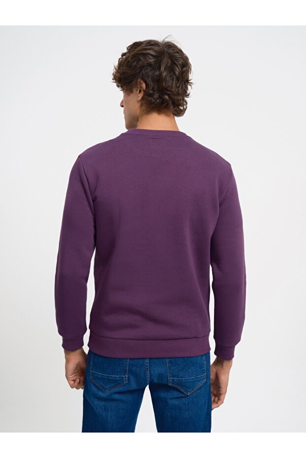 Regular Fit Erkek Sweatshirt - 4