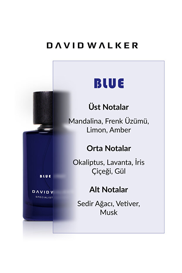 Unique Blue 1987 100ml Unisex Parfüm - 2