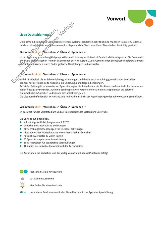 Grammatik aktiv B2-C1 mit PagePlayer-App - 5