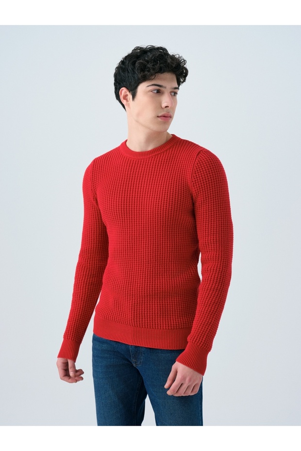 Regular Fit Erkek Kazak - 1