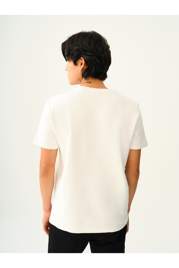 Regular Fit Erkek Tshirt K.kol - 3