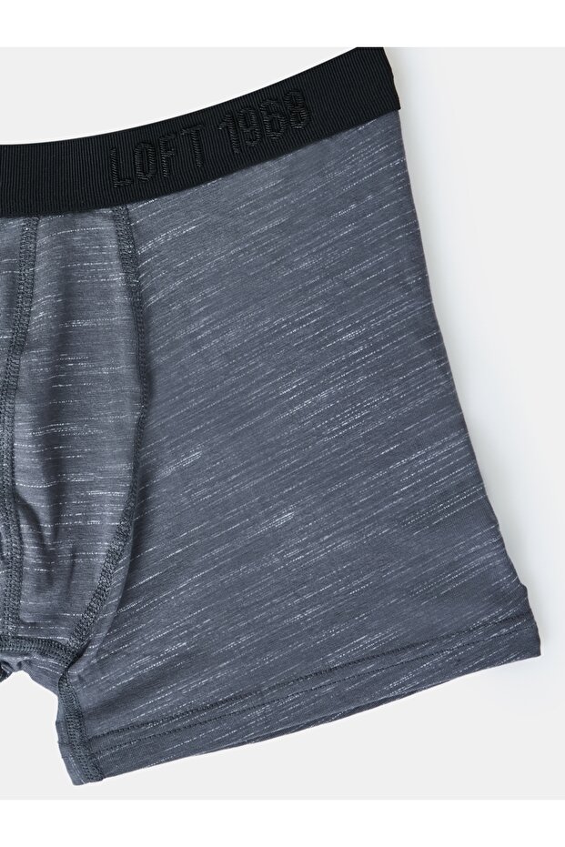 Erkek Boxer LF2037455 - 2