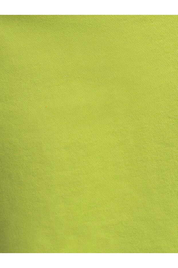 Regular Fit Erkek Şort - 5