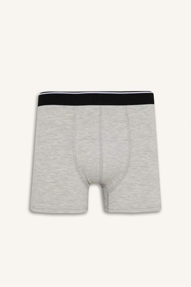 Regular Fit Baskılı 3'lü Boxer (25 AU) - 5